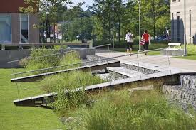 Houblon Photo Architecte Paysagiste Collecte D Eau De Pluie Design D Amenagement Paysager