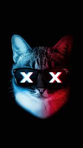Glitch art is the practice of using digital or analog errors for aesthetic purposes by either corrupting digital data or physically manipulating electronic devices. Glitch Cat Iphone Wallpaper Iphone Wallpapers Iphone Wallpapers