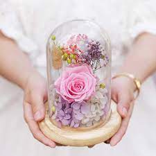 Bloomback is an online florist offering gifts made with preserved flowers. Show Loved Ones You Care With These Stunning Preserved Flowers That S Shanghai