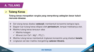 We did not find results for: Sistem Gerak Pada Manusia Ppt Download