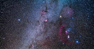 The largest known star is called vy canis majoris. Betelgeuse Is The Most Intriguing Star In The Galaxy The Atlantic