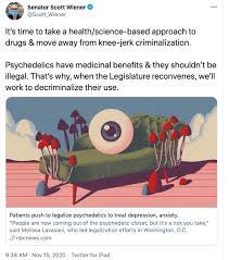 The Legality Of Magic Mushrooms In California Law Offices Of Omar Figueroa