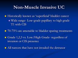 Non Muscle Invasive Bladder Urothelial Carcinoma Ppt Video Online Download