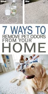 7 Ways To Remove Pet Odors From Your Home 101 Days Of Organization Pet Odor Elimination Pet Odor Carpet Pet Odor Elli Pet Odor Remover Pet Odors Pet Smell