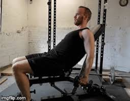 When autocomplete results are available use up and down arrows to review and enter to select. Dumbbell Front Raise