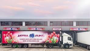 Our company has been supplying flowers from holland throughout the world for more than 20 years we are one of the largest traders and cooperate with all flower auctions in holland, as well as directly producers of flowers and greens. Astra Fund Holland Bv Flowers From Holland Wholesale