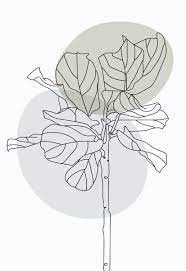There is something about a simple doodle of flowers, leaves, succulents, and botanical line drawing cacti e succulent edition ita ciao, in questo video vi mostro anche l'interno del libro botanical line drawing che mostra. Pin On Fondos