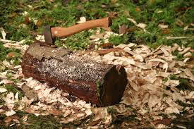 Holzfällen ist eine der ältesten kulturtechniken der menschheit. Kostenlose Foto Arbeit Baum Wald Gras Ast Rasen Blatt Kofferraum Log Boden Axt Baumstumpf Chips Falle Holz Hacken Holz Machen Waldarbeit Holzige Pflanze 4752x3168 560483 Kostenlose Bilder Pxhere