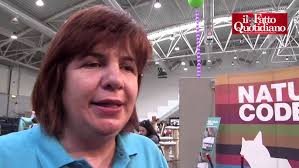 Gatti più belli del mondo, a Roma sfila Felix Coon Titanic: con i suoi 11  kg è il più grande