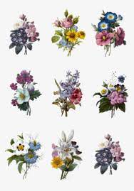 Bouquet of wild flowers by antonina troshina, a travelling artist from moscow, russia. Flower Tattoo Png Transparent Flower Tattoo Png Image Free Download Pngkey