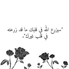 Pin On توصيل مشاوير الكويت