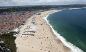 Nazaré : 70 Victimes d'une Pollution! Plage Fermée! 😱 - Imagen principal del artículo