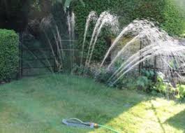 Maybe you would like to learn more about one of these? How To Water A Garden Without A Hosepipe The Tea Break Gardener