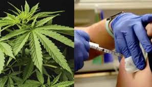 Food and drug administration (fda). Yrcpg4lysourgm