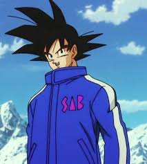 We did not find results for: Sab Jacket Goku And Vegeta Unit Concept With Unit Sa Fandom