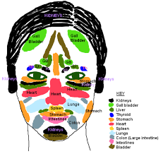 Spot Positions Acne Locations And Chinese Face Mapping