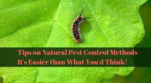 When i noticed an invasion, i sprinkled de liberally on the carpets natural ant poison. Tips On Natural Pest Control Methods It S Easier Than What You D Think Institute Of Ecolonomics