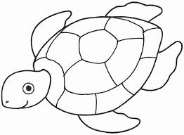 Gambar kura kura hitam putih. Koleksi Gambar Mewarna Penyu Comel Yang Paling Banyak Dicari