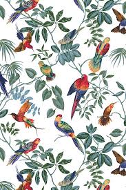 Find images of tropical birds. Inspiration From You Tropical Bird Wallpaper Uk