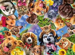 Buying Cheap Ravensburger Puzzles Wide Choice Puzzles123