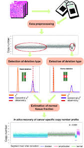 the flow chart of bacom download scientific diagram