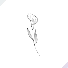 Black And White Realistic Calla Lily Tattoo Choose The Creative Life La And Chicago For Appointments At Nathalybonilla Tattoo Gmail Com Calla Lily Tattoos Lily Flower Tattoos Lily Tattoo