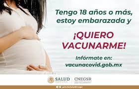 Tienen el doble de riesgo de parto prematuro y complicaciones pese a no estar incluidas en el plan estratégico de. Vacunacion En Embarazo Centro Nacional De Equidad De Genero Y Salud Reproductiva Gobierno Gob Mx