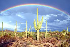 We present you our collection of desktop wallpaper theme: Arizona Desert Rainbow Photograph By Douglas Taylor