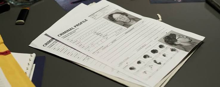 Cold Case Files Game – Enigma Peak