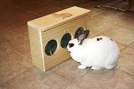 Aside from making a diy rack, you can also transform your garage (if you have enough space) to a full crossfit gym. Rabbit Hay Feeder Slim Fit Rabbit Hay Hay Feeder Pet Bunny