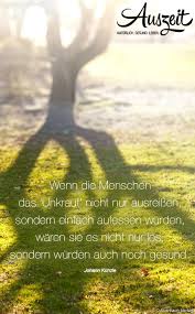 Auszeit Bio Spruchesammlung Weisheit Weisheiten Spruche Gedichte Und Spruche