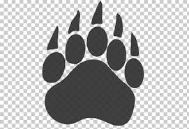 Check spelling or type a new query. Polar Bear Paw Print Novocom Top