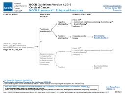 Https Www Worldcancercongress Org Sites Congress Files Atoms Files Pre0060 Berek 20jonathan 20s Pdf