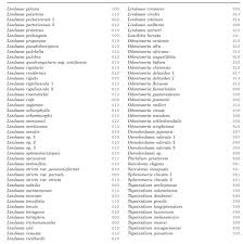 Image result for Odontosoria africana