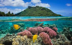 Image result for sea