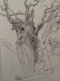 A Sketchy Type Thing Ent Treebeard I Got The Alan Lee Lord Of The Treebeard Drawing Illustrations Love Drawings