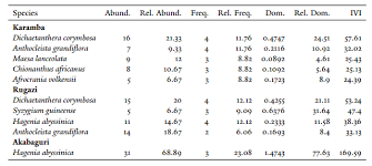 Image result for Dichaetanthera corymbosa