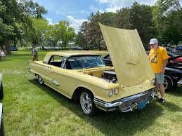 Image result for Tahitian Bronze 1959 Thunderbird