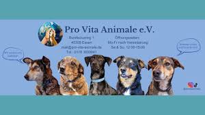 Tierschutzverein und Hundeauffangstation Pro Vita Animale e.V.