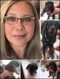 Record 75 dog attack deaths in 2023 included also record 59 by pit bull