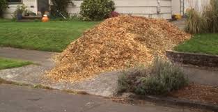 Free Wood Chips For Your Yard Http Freebiefresh Com Free Wood Chips For Your Yard Wood Chip Mulch Cheap Mulch Wood Chips