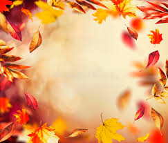 Find over 100+ of the best free background images. 15 188 815 Beautiful Background Photos Free Royalty Free Stock Photos From Dreamstime