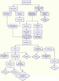 Uncommon Criminal Procedure Chart Crim Pro Flow Chart Indian