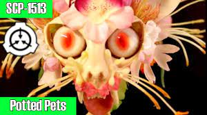 SCP-1513 Potted Pets | object class safe - YouTube