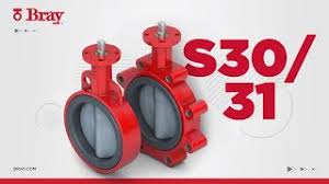 Butterfly Valves | Series 30/31 | Bray Valves [English ...