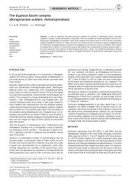 Image result for Euploca katangensis