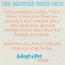 There is no greater feeling than hanging out with my dogs, or just walking around the land with our horses. The Rescued Dog S Oath Www Adoptapet Com The Dogs Were Rescued And So Was I Sourcebooks By Teresa J Rhyne Isbn 9 Rescue Dogs Pitbull Rescue Dog Quotes