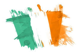 Pin On Irelands Election Results