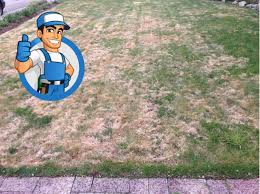 Enlever la pelouse manuellement avant d'enlever la pelouse, la première étape consistera à la tondre. Comment Rater Sa Pelouse En 10 Etapes Jardinier Paresseux