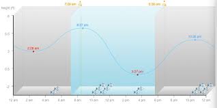 irenes data visualization class tides4fishing good